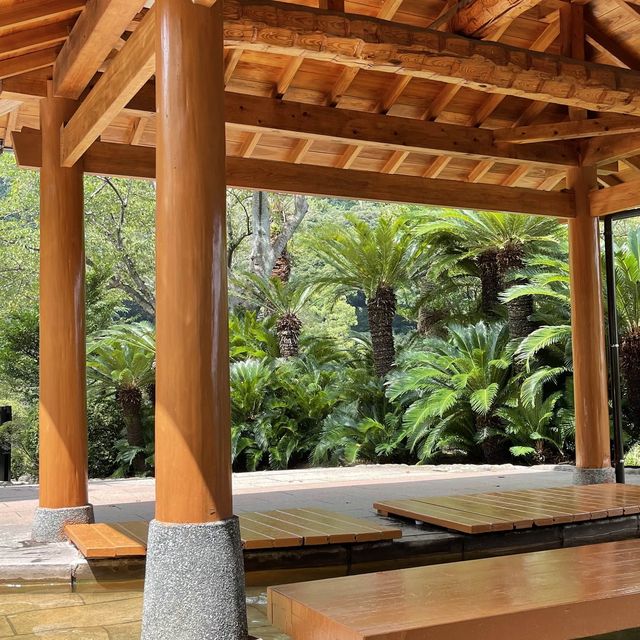 Enjoy with colourful hot springs 🌸