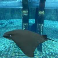 Amazing time at Atlantis Waterpark