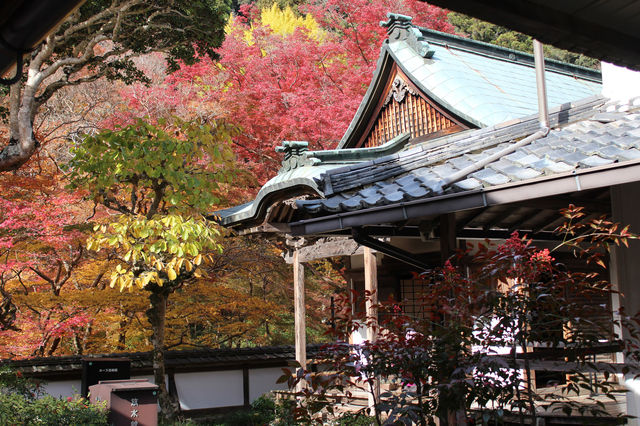 奈良県　奈良市の正暦寺