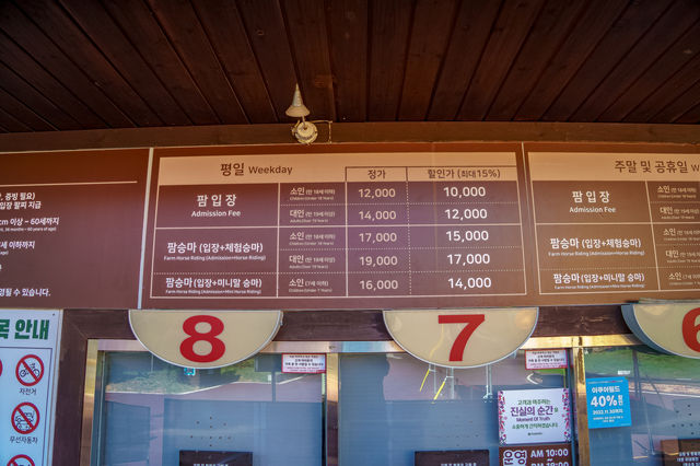 가을이 만발 아이들과 함께 나들이, 안성팜랜드