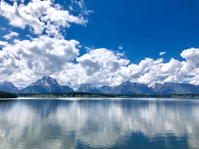 USA | Grand Teton National Park Photo Sharing 3 - Scenery on the Road