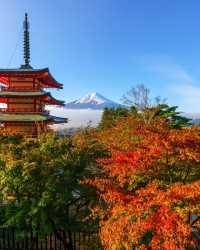 Tokyo Information | Easy Self-Guided Travel for Retirees (Part 2)