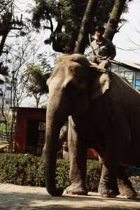 Nepal Kathmandu Central Zoo