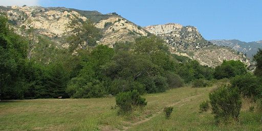 Activate Your Senses: Sensory Tour at Arroyo Hondo Preserve! | Arroyo Hondo Preserve