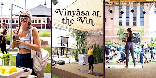 Vinyasa at the Vin (Grapevine) | Wineyard