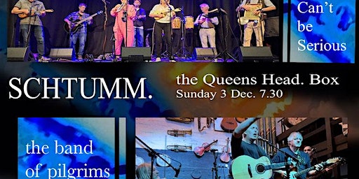 the band of pilgrims and Uke cant be serious | The Queens Head, Box