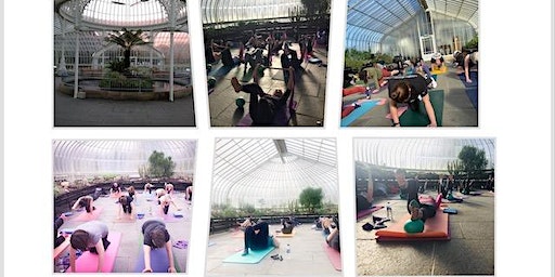 Pilates at the Heated Kibble Palace | Glasgow Botanic Gardens