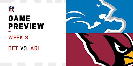Ultimate Fan Experience: Arizona Cardinals vs Detroit Lions! | State Farm Stadium