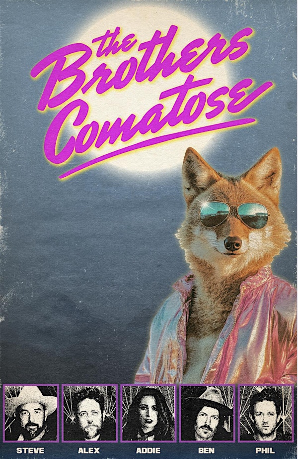 The Brothers Comatose at THE GROVE HOUSE (night 1) | The Grove House