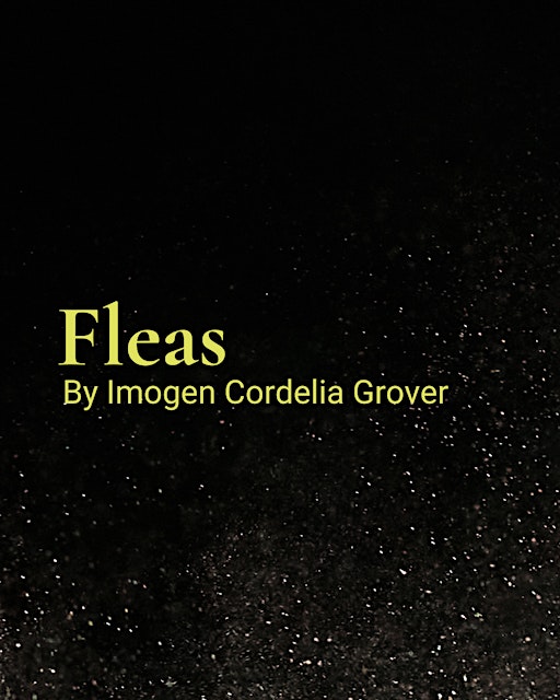 Barn Season: Fleas | Rose Bruford College