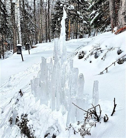 Ephemeral Art Making Series | Vanier Museopark