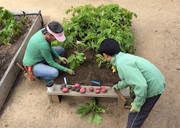 Grow Your Own Food Workshops 2025 | Garden for the Environment