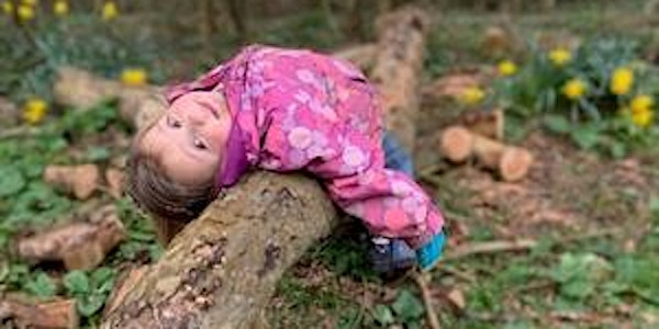 Wild Kids: Forest weekday fun for 8-11 July Fox EFC 2801 | Foxburrow Nature Reserve