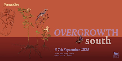 Overgrowth South 2025 - Youth Rewilding Summit | Knepp Wild Futures Campsite