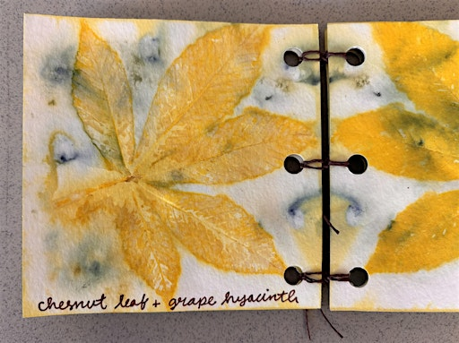 Bound by Nature Revisited | New Horizons Society