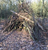 Belfairs woodland walk & identification | Essex Wildlife Trust Belfairs Nature Discovery Centre