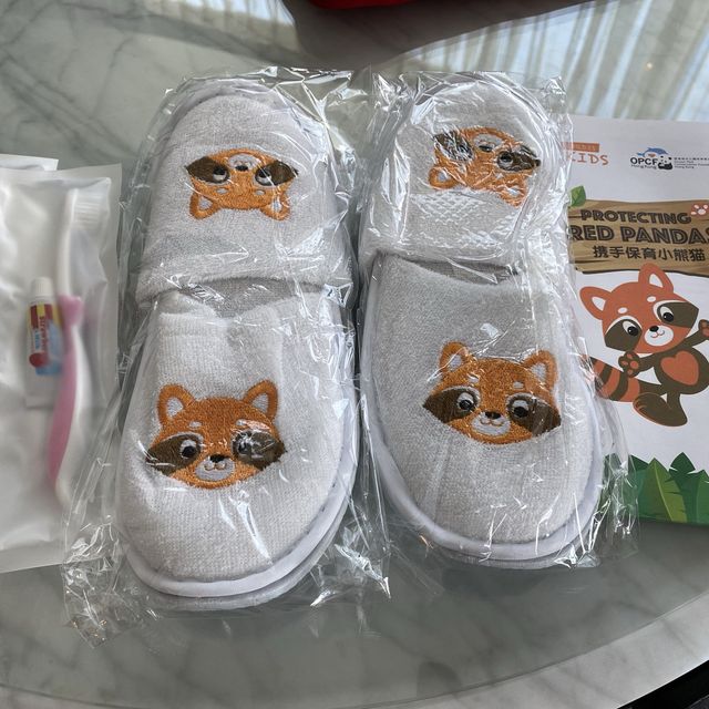 康德思 全景客房