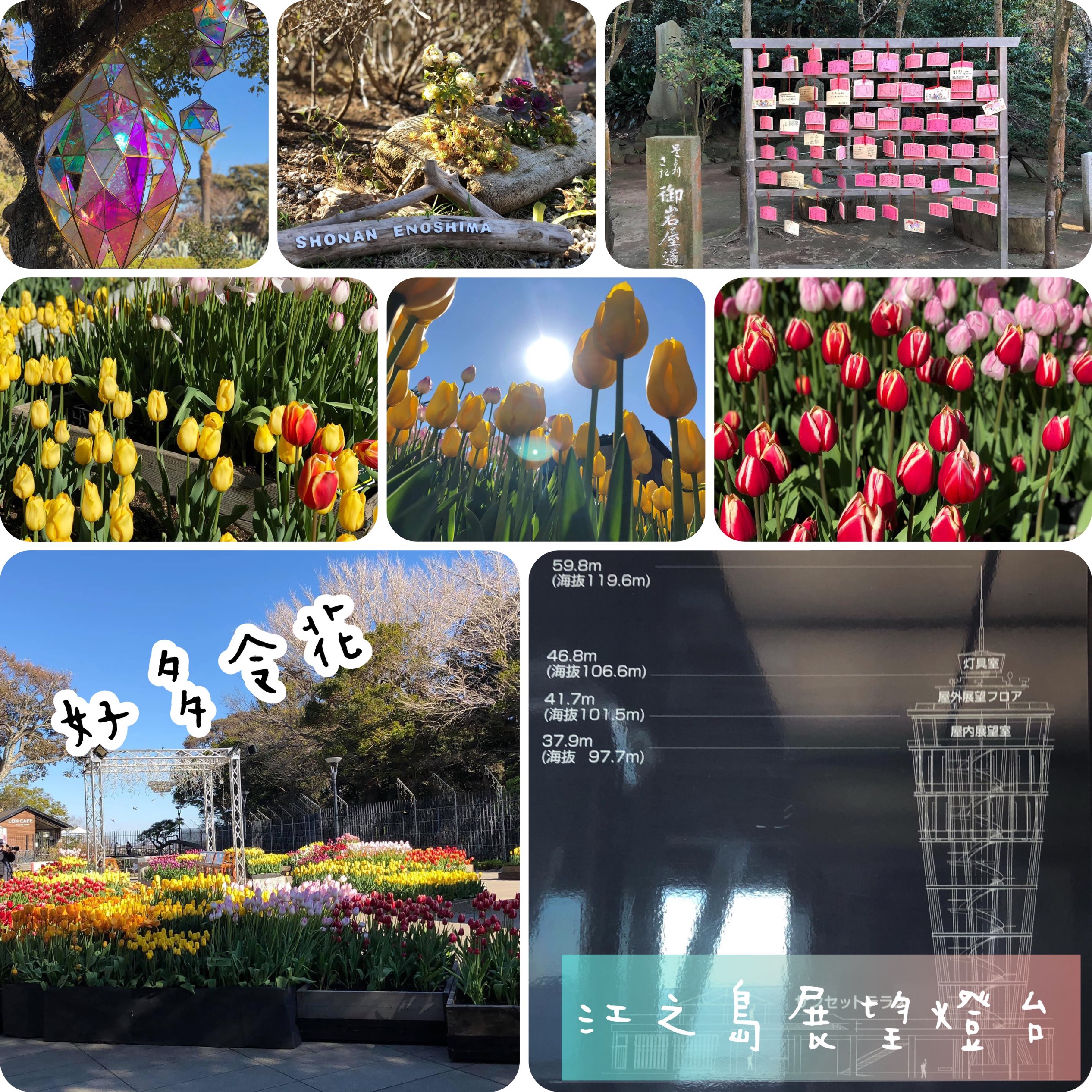 江之島燈台 飽覽江之島美景 Trip Com 日本trip Moments 貼文