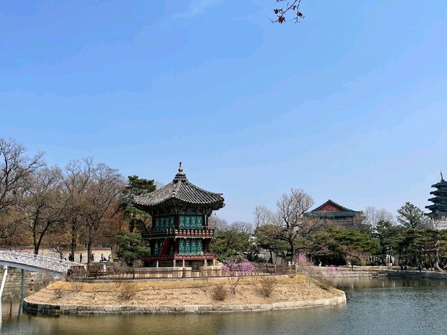 경복궁 한국의 미를 느끼다!