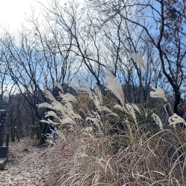 가볍게 오르기 좋은 등린이 추천산 , 청계산⛰