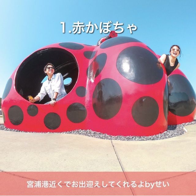 瀬戸内海に浮かぶ『直島』に行くならココ‼️7選！