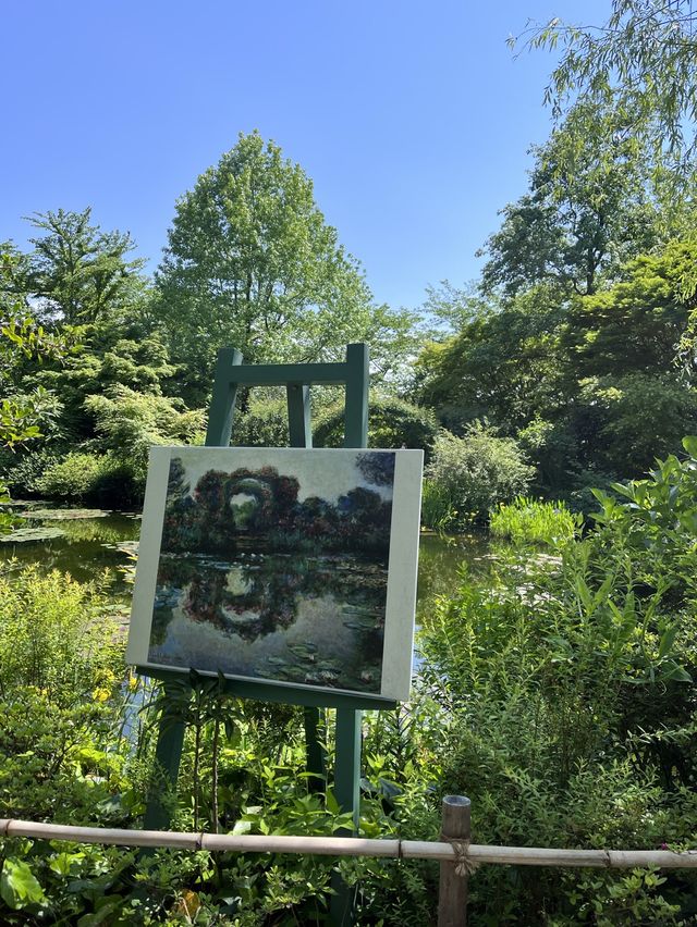 【高知】アートな絶景！モネの池マルモッタン