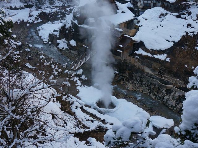 長野縣著名的溫泉泡湯的雪猴🤩🤩