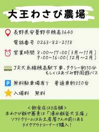 すりたては辛くない⁉︎ 「大王わさび農園」でわさび尽くし