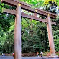 Meiji Shrine @Shibuya Tokyo