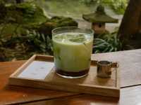 Best Matcha in Chiang Mai