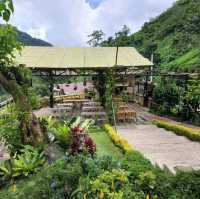 Charlie's Cup - A Roadside Nature Cafe
