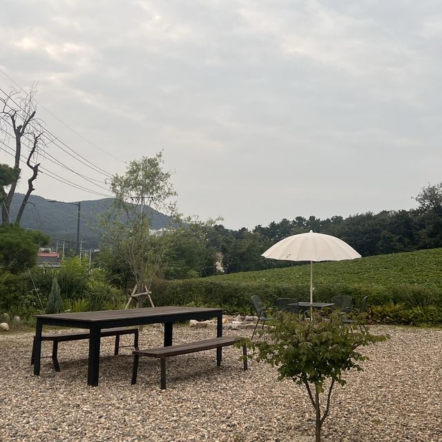 🍀플라스틱 제로! 친환경을 추구하는 카페여행✈️ "티하우스 서하" 여주 카페☕️