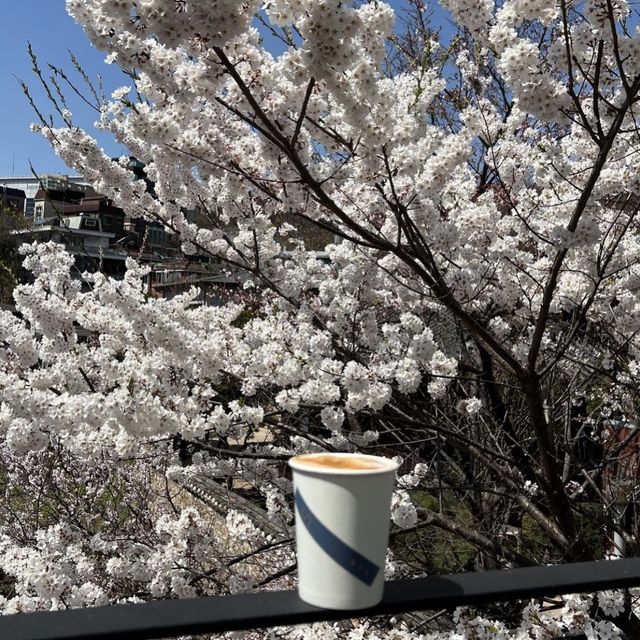 韓国/ソウル【景福宮】絶景♡ソウルの四季を感じられるビューカフェ🌳