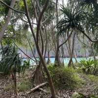 Thailand’s famous Maya Bay