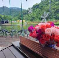 大埔蝶豆花園 天空之鏡 親親大自然
