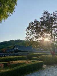 가을 근교여행 필수 코스, 수원 화상행궁 야간개장✨