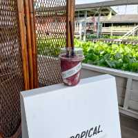 คาเฟ่เปิดใหม่นนทบุรีติดริมแม่น้ำเจ้าพระยา