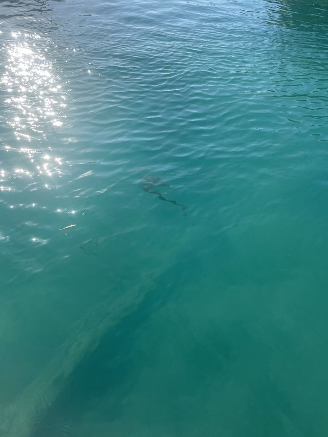 스칼렛 아르떼에서 무료 액티비티 패들보드 타기🏄🏼‍♀️