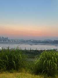 가을 어느 시간대든 산책하기 좋은 시흥 배곧생명공원🌿