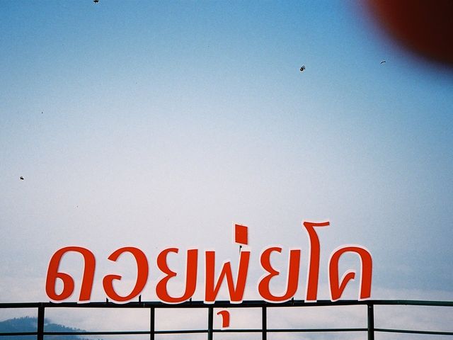 ดอยพุ่ยโค เหนื่อย!!แต่คุ้มม
