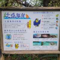【奄美大島】土盛海岸