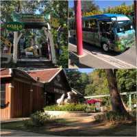 🦩🦘 Chiang Mai Zoo 🦥 🐘