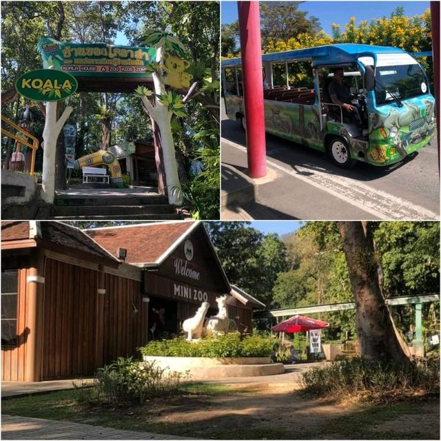 🦩🦘 Chiang Mai Zoo 🦥 🐘
