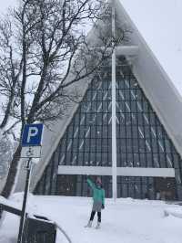 Arctic Cathedral