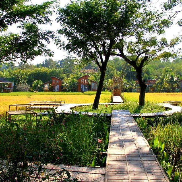 บ้านนาก๋างโต้ง (Baan Na Kang Tong)