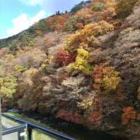 岩手県！部屋からの紅葉を求めて大沢温泉へ【施設編】