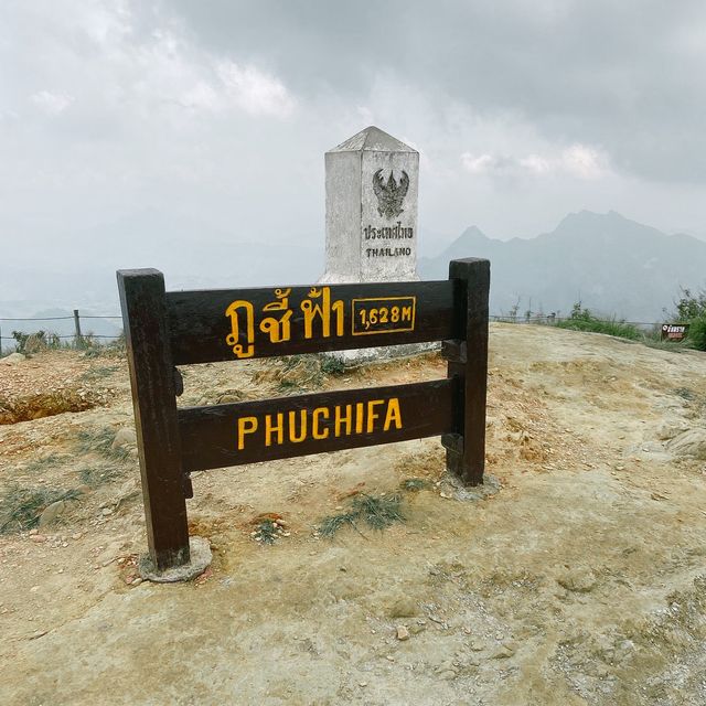 ภูชี้ฟ้า - ชมทะเลหมอกเคล้าลมหนาวท่ามกลางขุนเขา ภูชี้ฟ้า - ชมทะเลหมอกเคล้าลมหนาวท่ามกลางขุนเขา