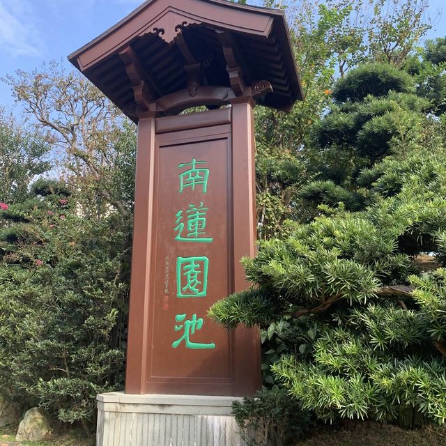 日式園林美景,鬧市中的心靈靜逸休憩地方:南蓮園池&志蓮淨苑 日式園林美景,鬧市中的心靈靜逸休憩地方:南蓮園池&志蓮淨苑