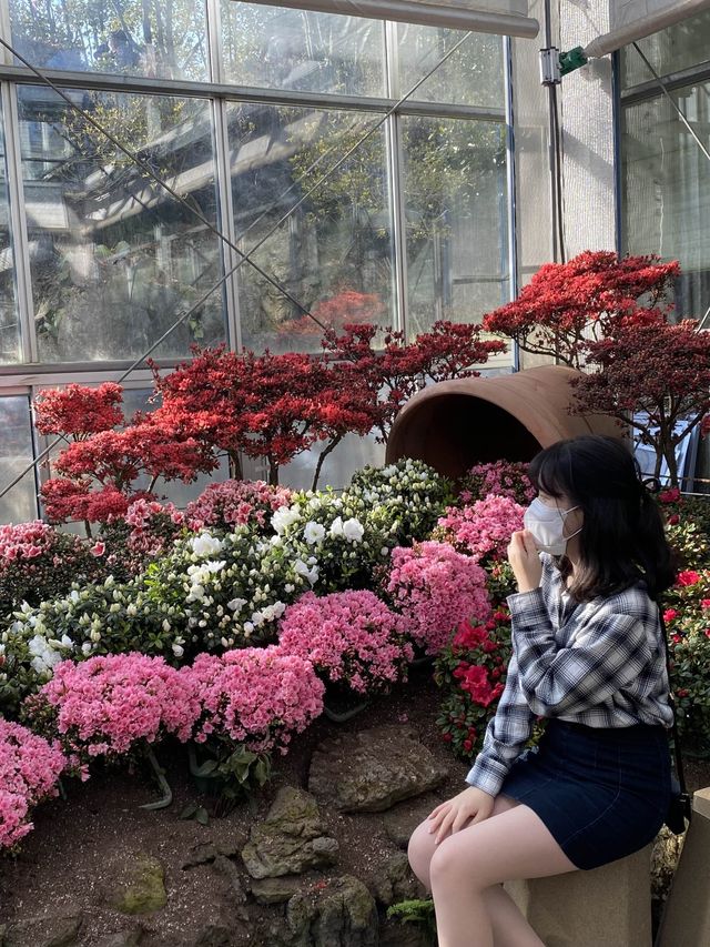 꽃내음 가득한 제주도 카멜리아힐 🌺