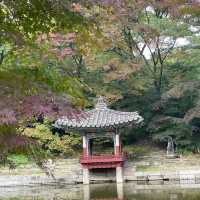 Secret Garden 🪴 
